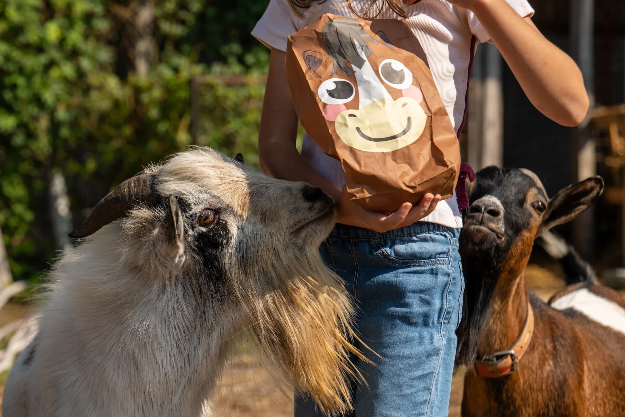 Ferme pédagogique : la sortie préférée des petits