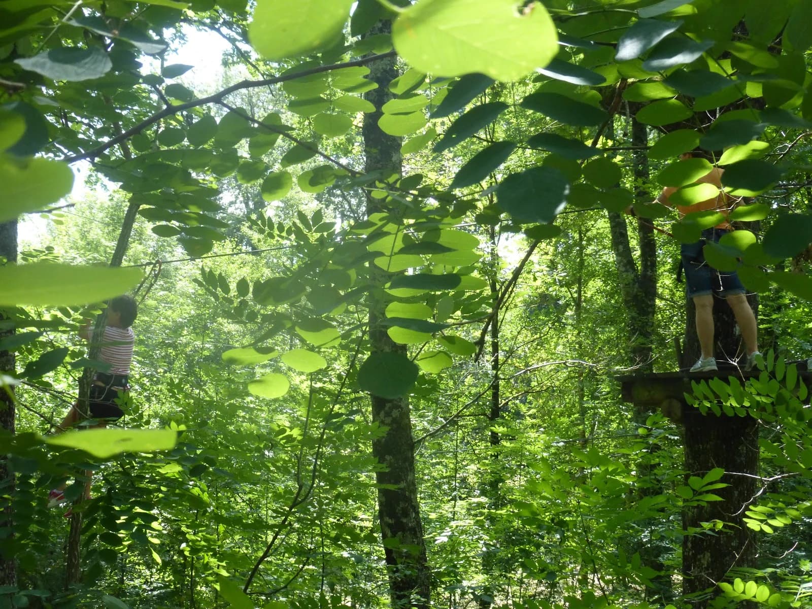 Été : sensations fortes en plein air