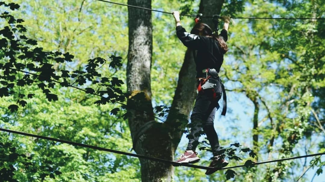 Été : explorez les jardins et parcs floraux