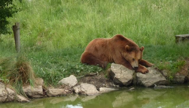 Parc Animalier de SainteCroix à RHODES  Parcs Zoologiques  Parcs et